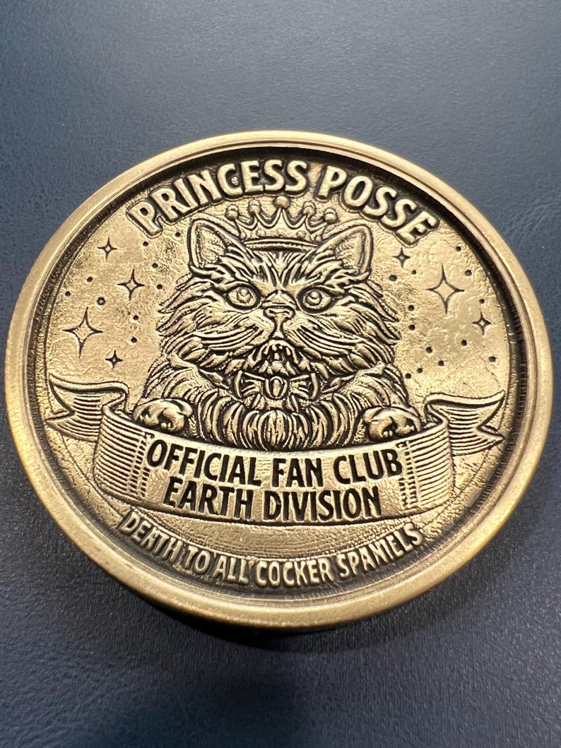 Princess Club brass coin